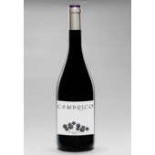 Cambrico Tempranillo 2008 red wine,75 ml